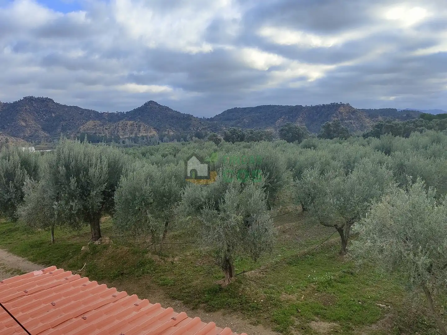Casa amb terrassa en venda a Riba-roja d'Ebre, imagen 17