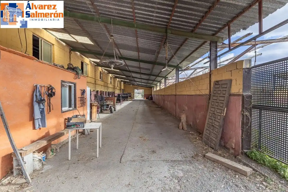 Vista exterior de Casa o xalet en venda en La Zubia amb Jardí privat