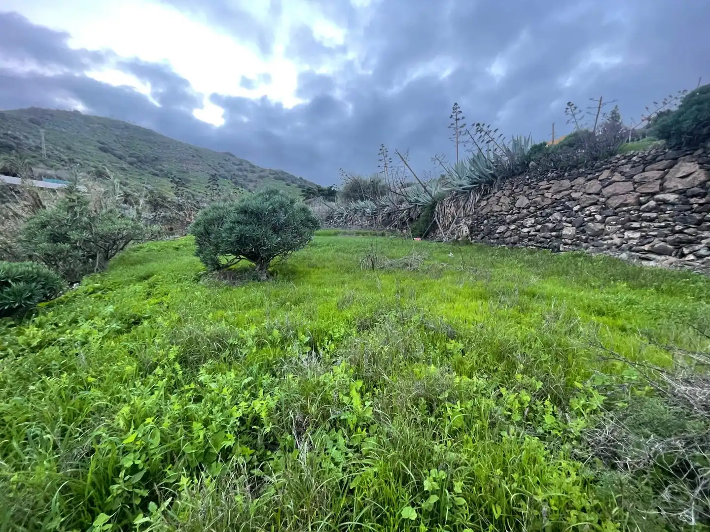 Terreno en venta en Valsequillo de Gran Canaria