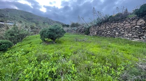 Foto 4 de Terreno en venta en Valsequillo de Gran Canaria, Las Palmas
