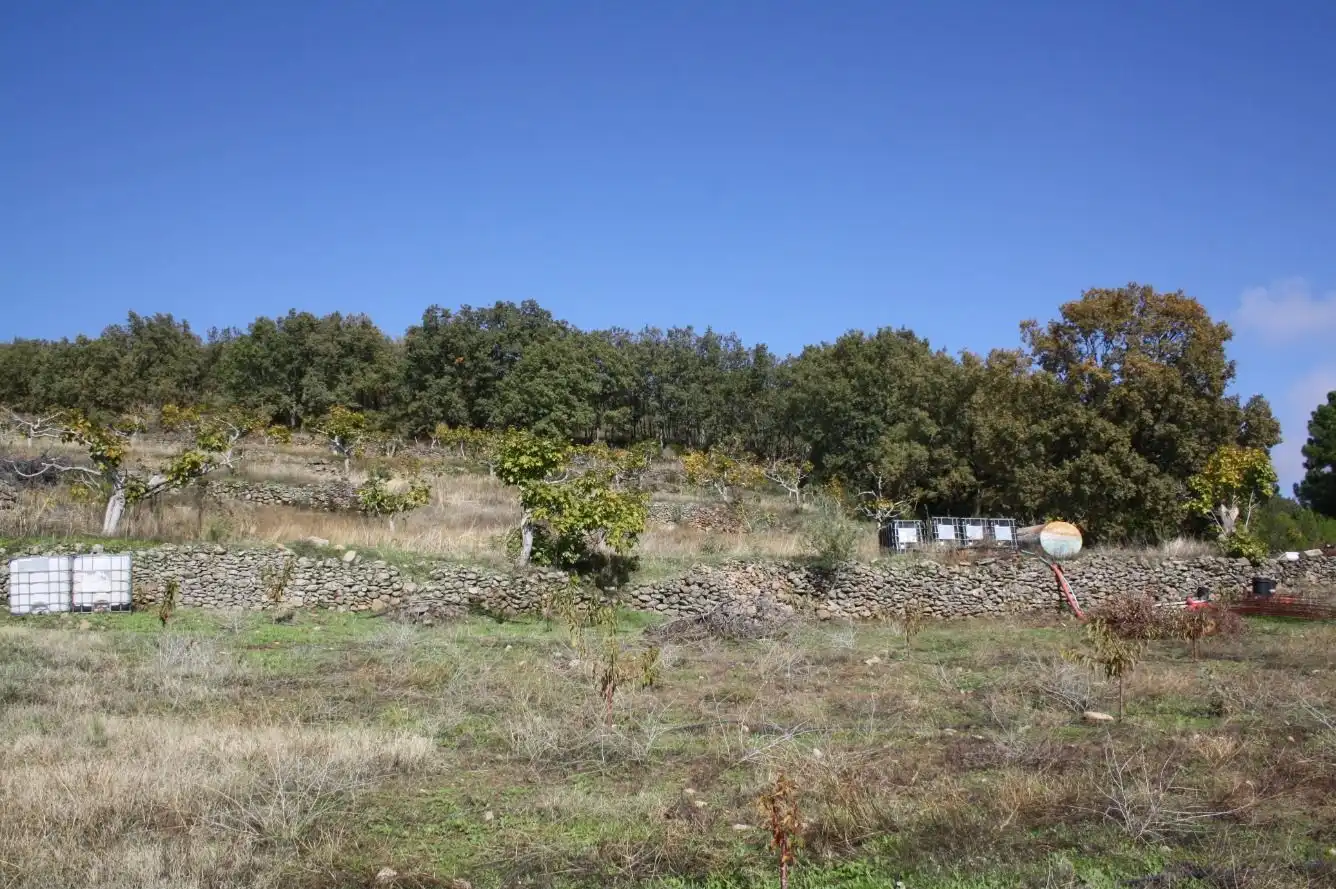 Finca rústica en venta en Torremenga con Jardín privado, Terraza y Amueblado