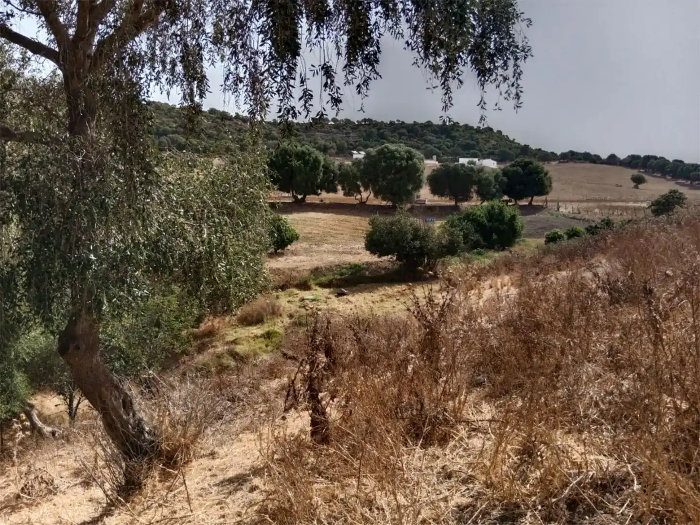 Country house zum Verkauf in Vejer de la Frontera