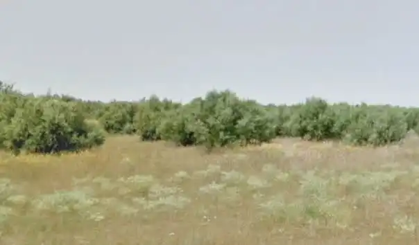 Rustikales Grundstück zum Verkauf in C/ Montes de Argenzon, Varas de Buey, imagen 5