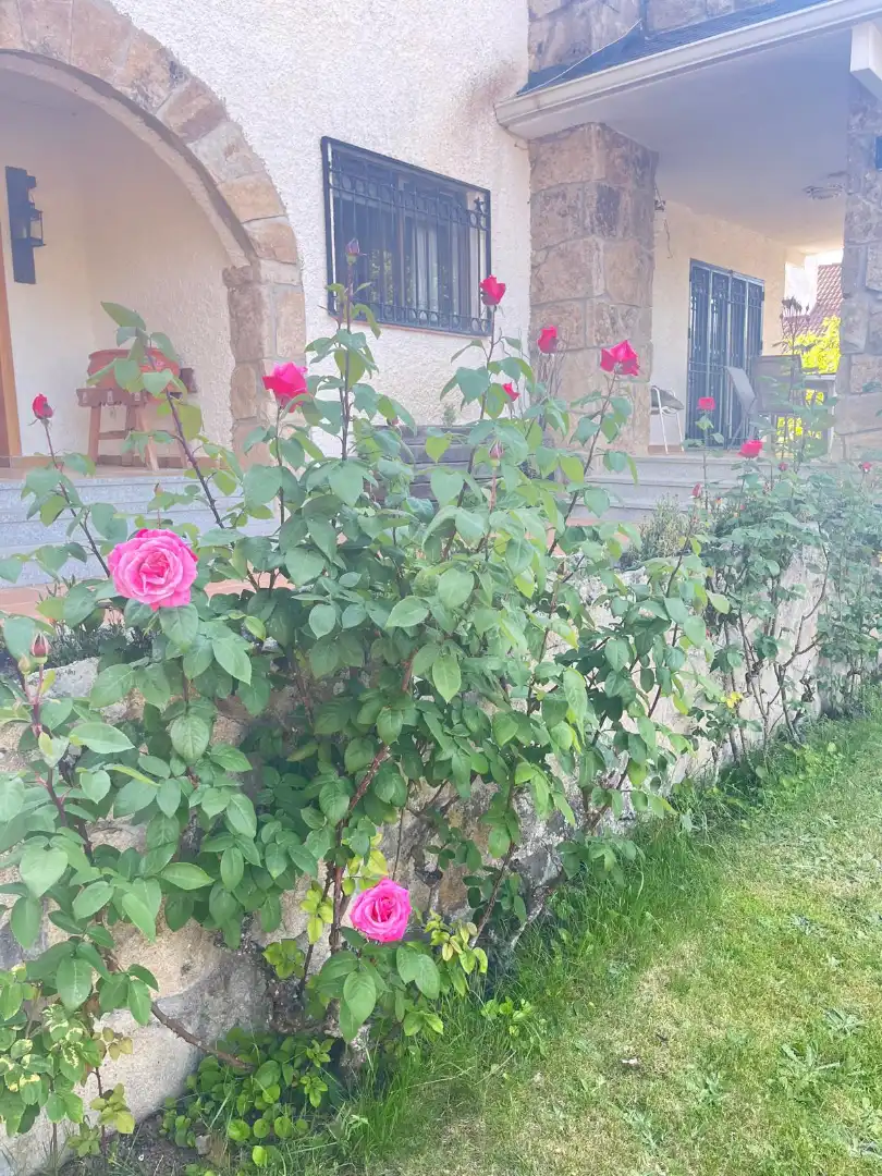 Jardín de Casa o chalet de alquiler en Becerril de la Sierra con Aire acondicionado, Calefacción y Jardín privado