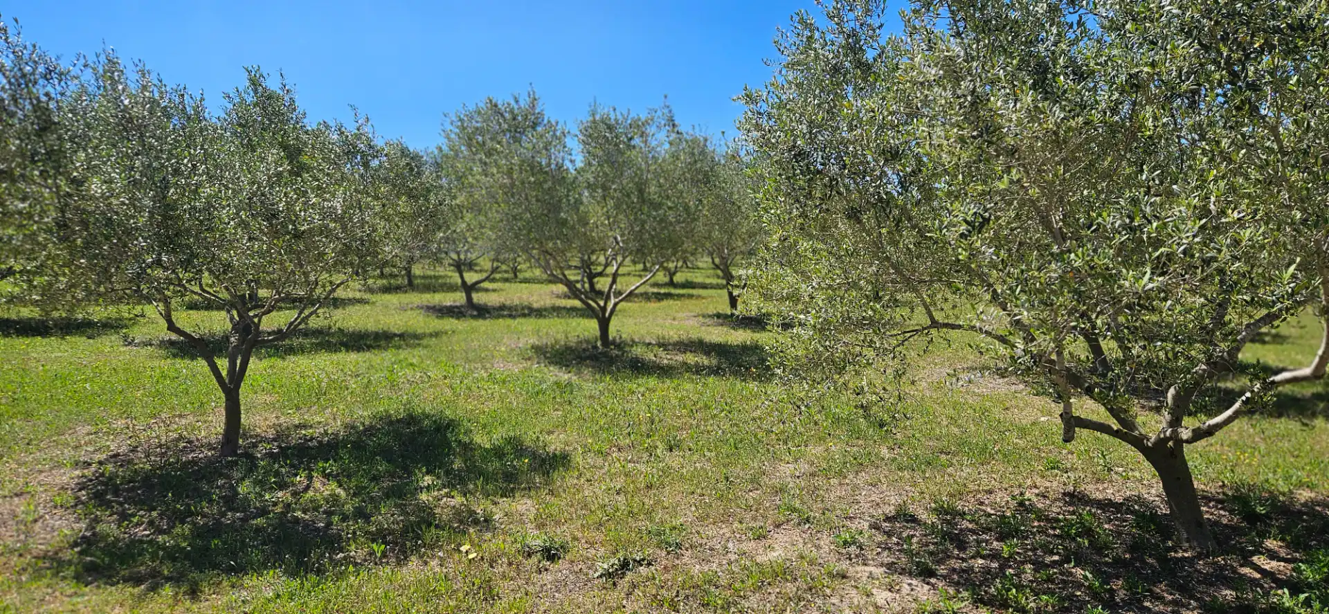 Country homes for sale in El Catllar   with Air Conditioner, Heating and Private garden
