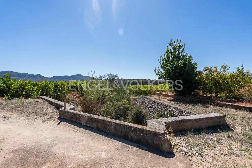Terrenys i solars en venda a Palma de Gandia, imagen 2