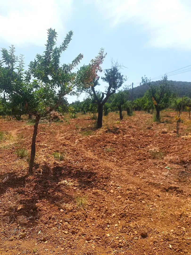 Finca rústica de alquiler en Alaró con Aire acondicionado, Jardín privado y Terraza