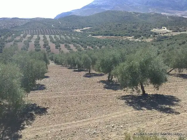 Lands and plots for sale in Bobadilla - Bobadilla Estación - La Joya, imagen 11