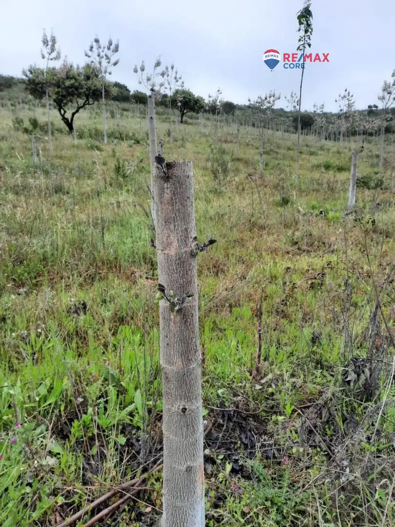 Terreni e lotti in vendita a Alburquerque, imagen 32