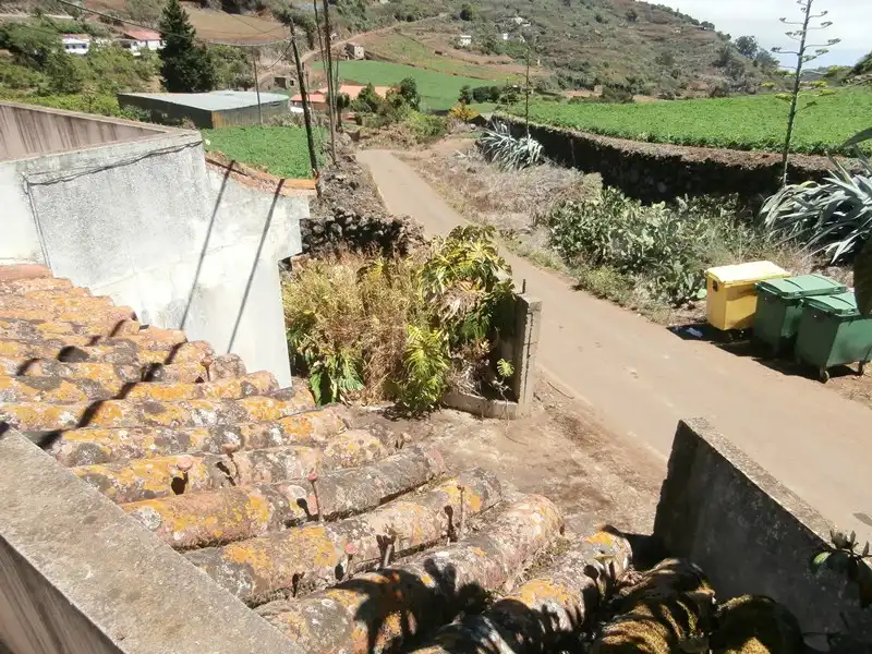 Vista exterior de Finca rústica en venta en Moya (Las Palmas)