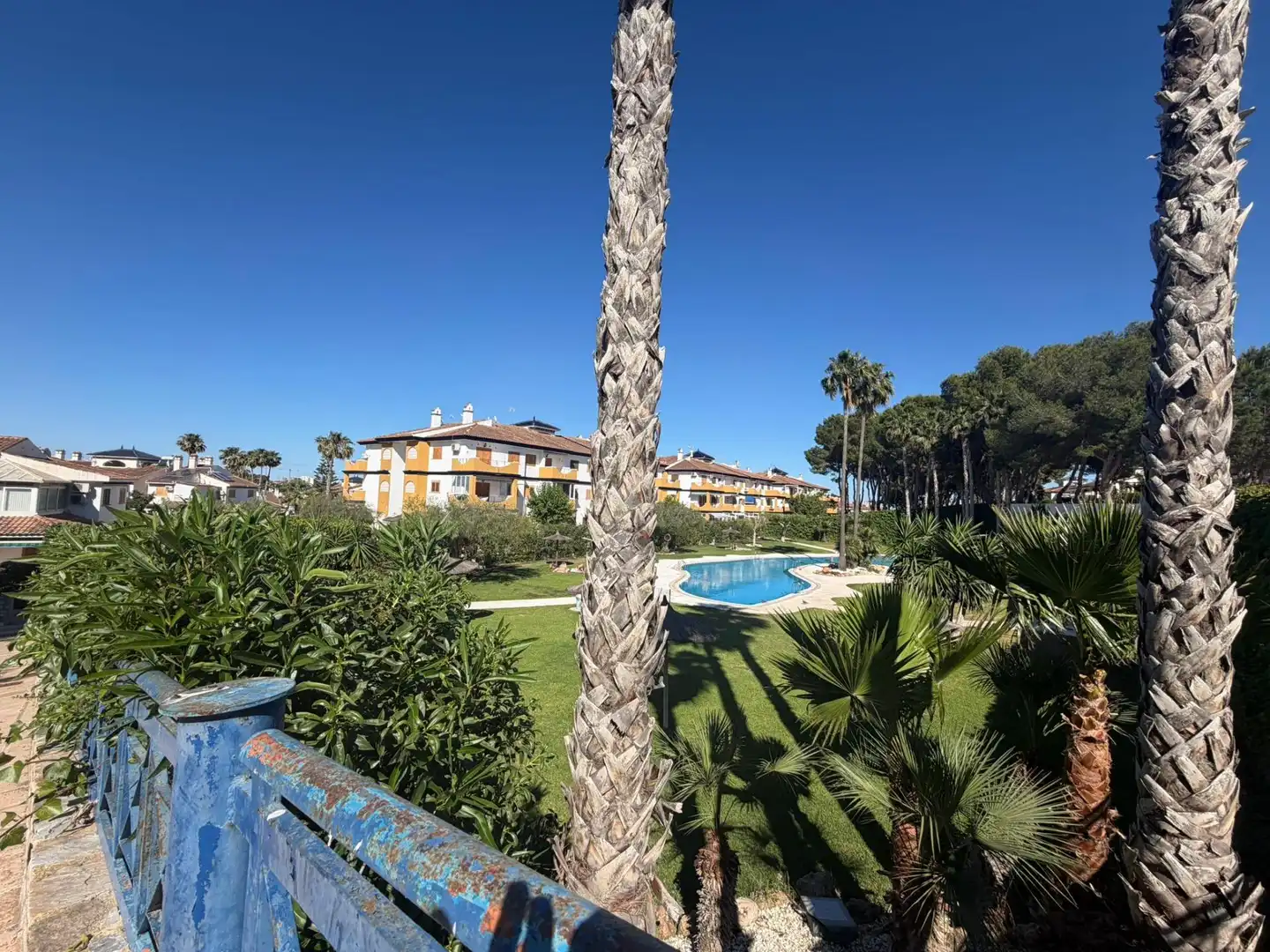 Jardí de Casa o xalet de lloguer en Pilar de la Horadada amb Terrassa i Piscina comunitària