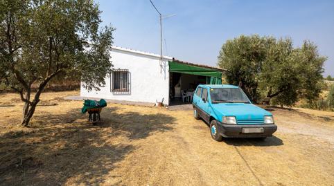 Foto 3 de Finca rústica en venta en Calle de Moraleda a Cómpeta, Moraleda de Zafayona, Granada