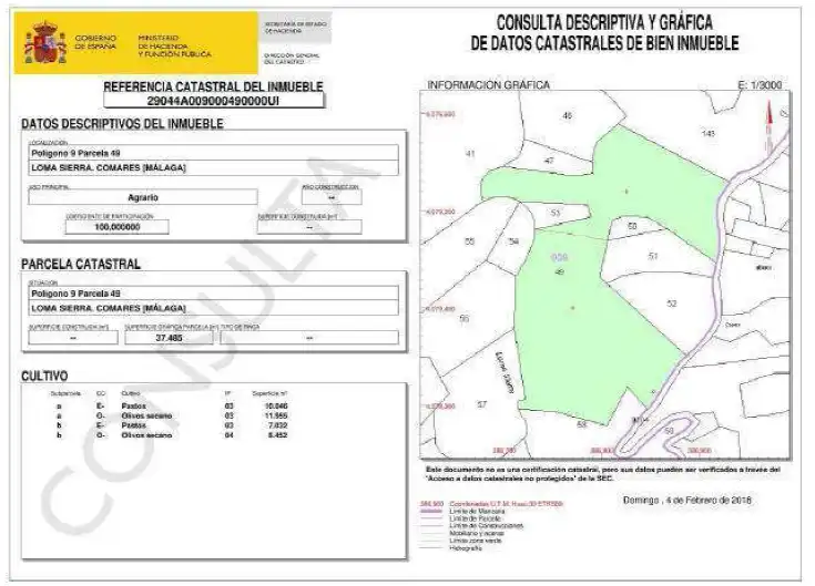 Finca rústica en venta en Periana