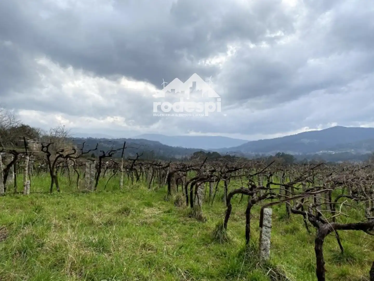 Terreny rústic en venda a A Cañiza, imagen 24