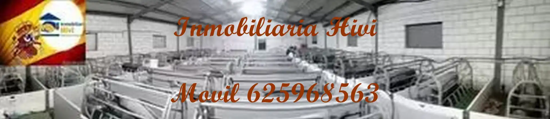 Nave industrial en venta en Almendral