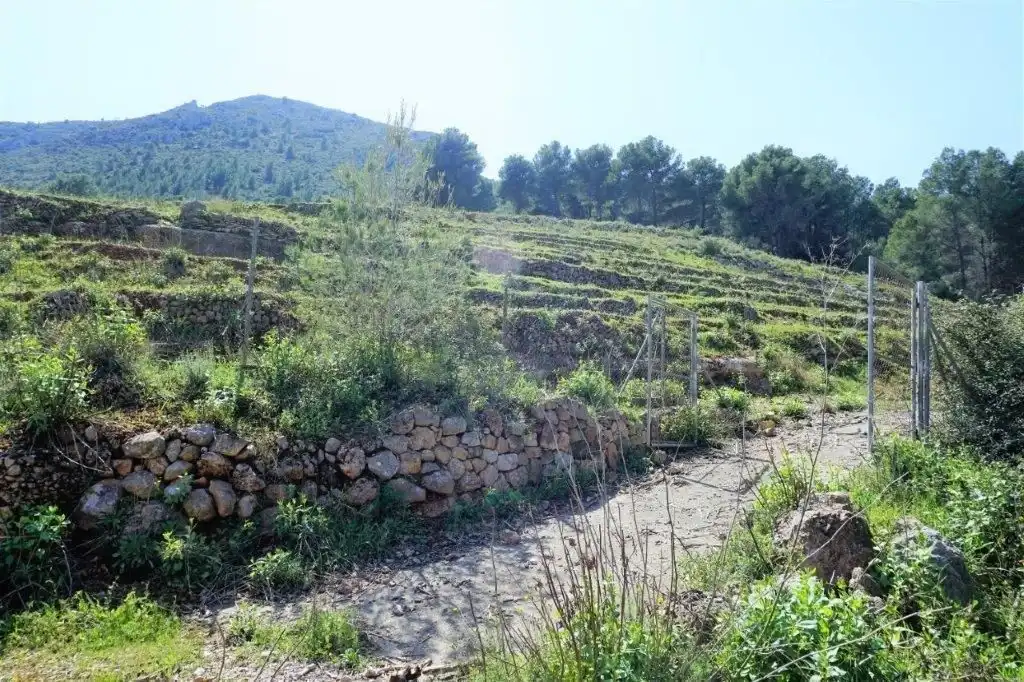 Terreny residencial en venda a Callosa d'en Sarrià, imagen 41