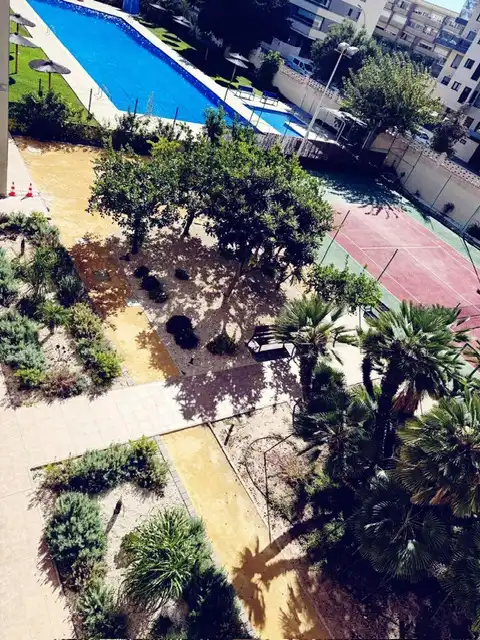 Pis amb piscina en venda a Calle del Torero Luis Francisco Esplá, imagen 6