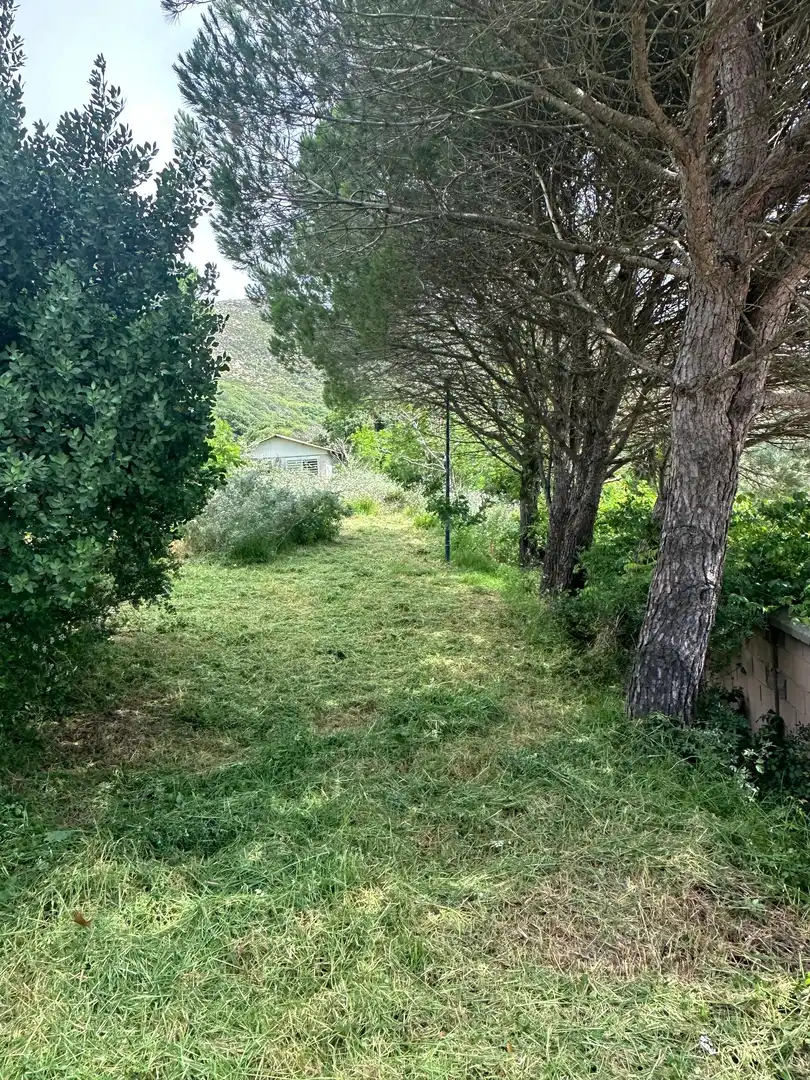 Terrenys i solars en venda a El Cuartón - El Bujeo, imagen 5