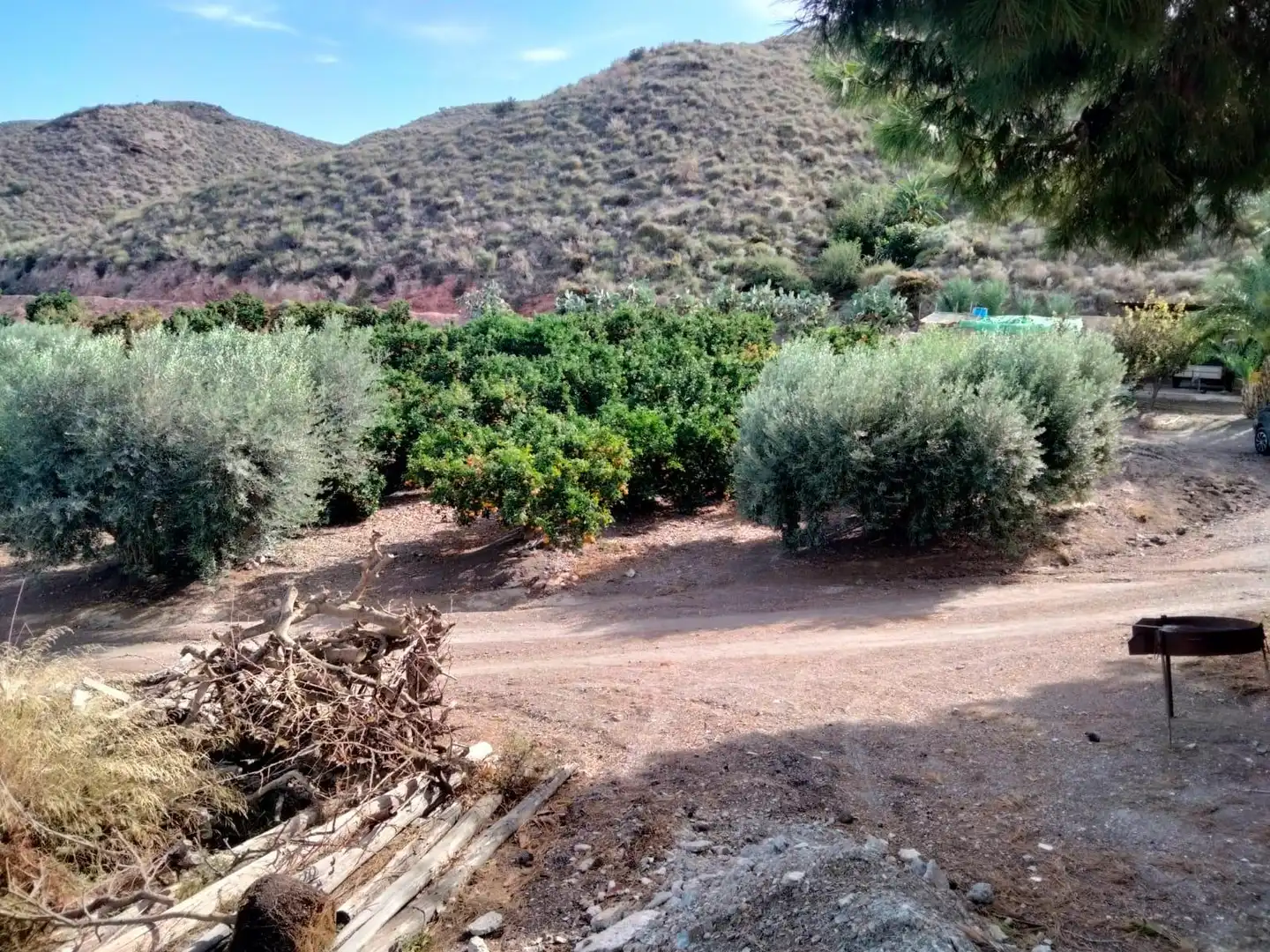Terreny rústic en venda a Calabardina, imagen 15