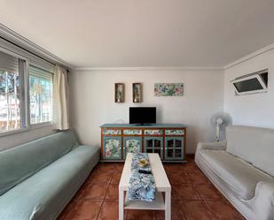 Living room of Apartment to rent in Pilar de la Horadada