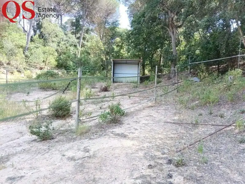 Casa rustica in vendita a Montbarbat, imagen 46