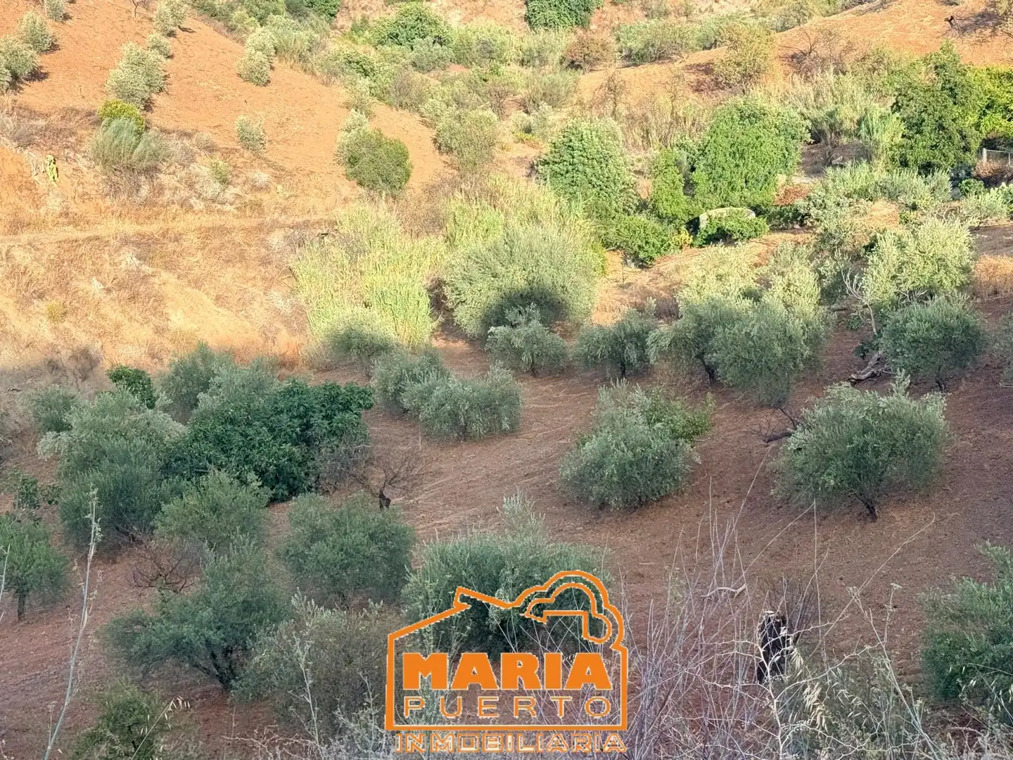 Terreno rustico in vendita a Almogía, imagen 3