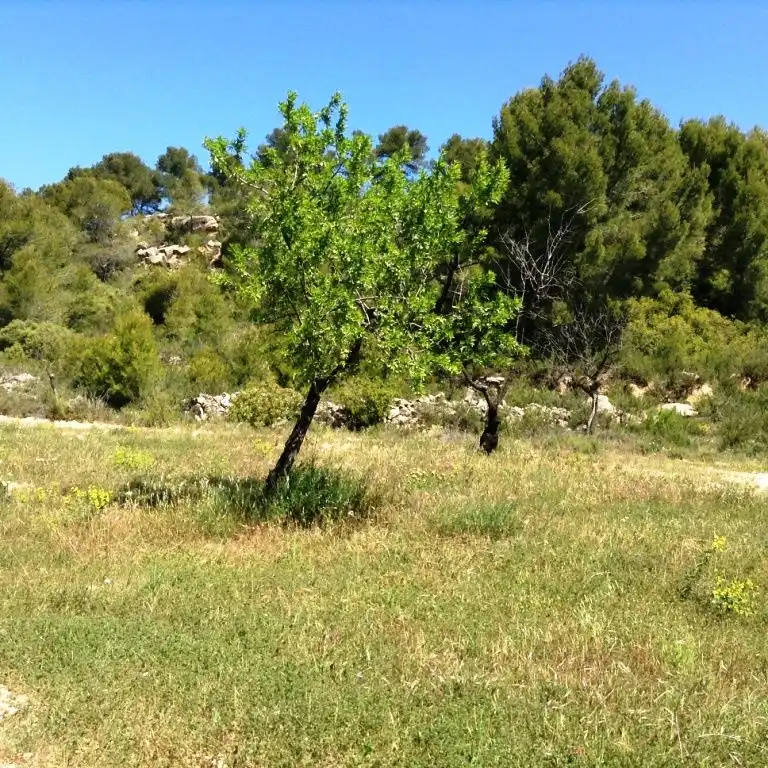 Terreni e lotti in vendita a Arens de Lledó, imagen 7