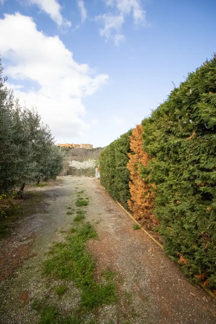Jardín de Terreno en venta en Sant Climent Sescebes