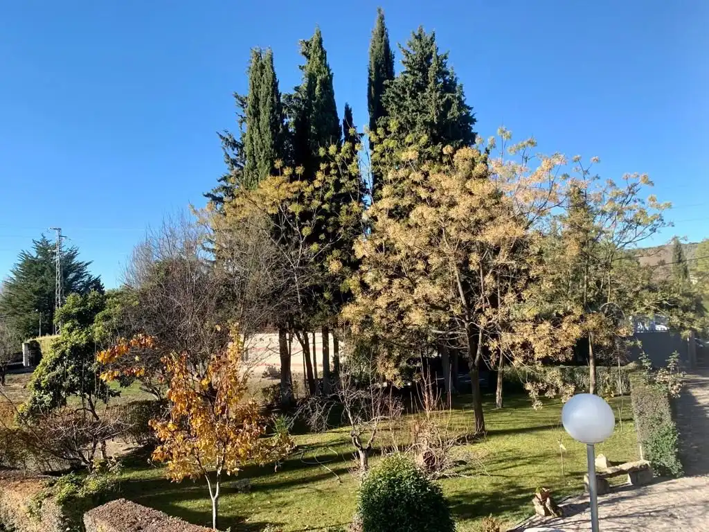 Jardín de Casa o chalet en venta en Úbeda con Jardín privado, Piscina y Balcón