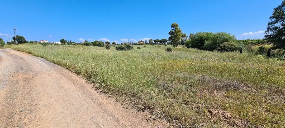 Terrenos y solares en venta en Gibraleón, imagen 4