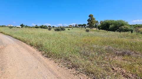 Finca Rúst. en venta en Gibraleón., immagine 4