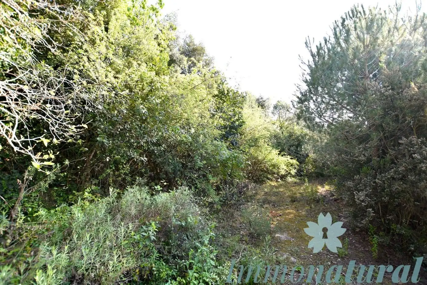 Terreno residencial en venta en Torrelles de Llobregat, imagen 2