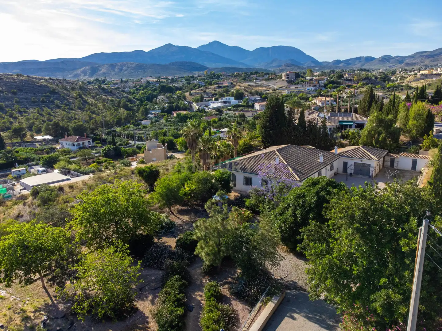 Vista exterior de Casa o chalet en venta en Alicante / Alacant con Jardín privado, Trastero y Piscina