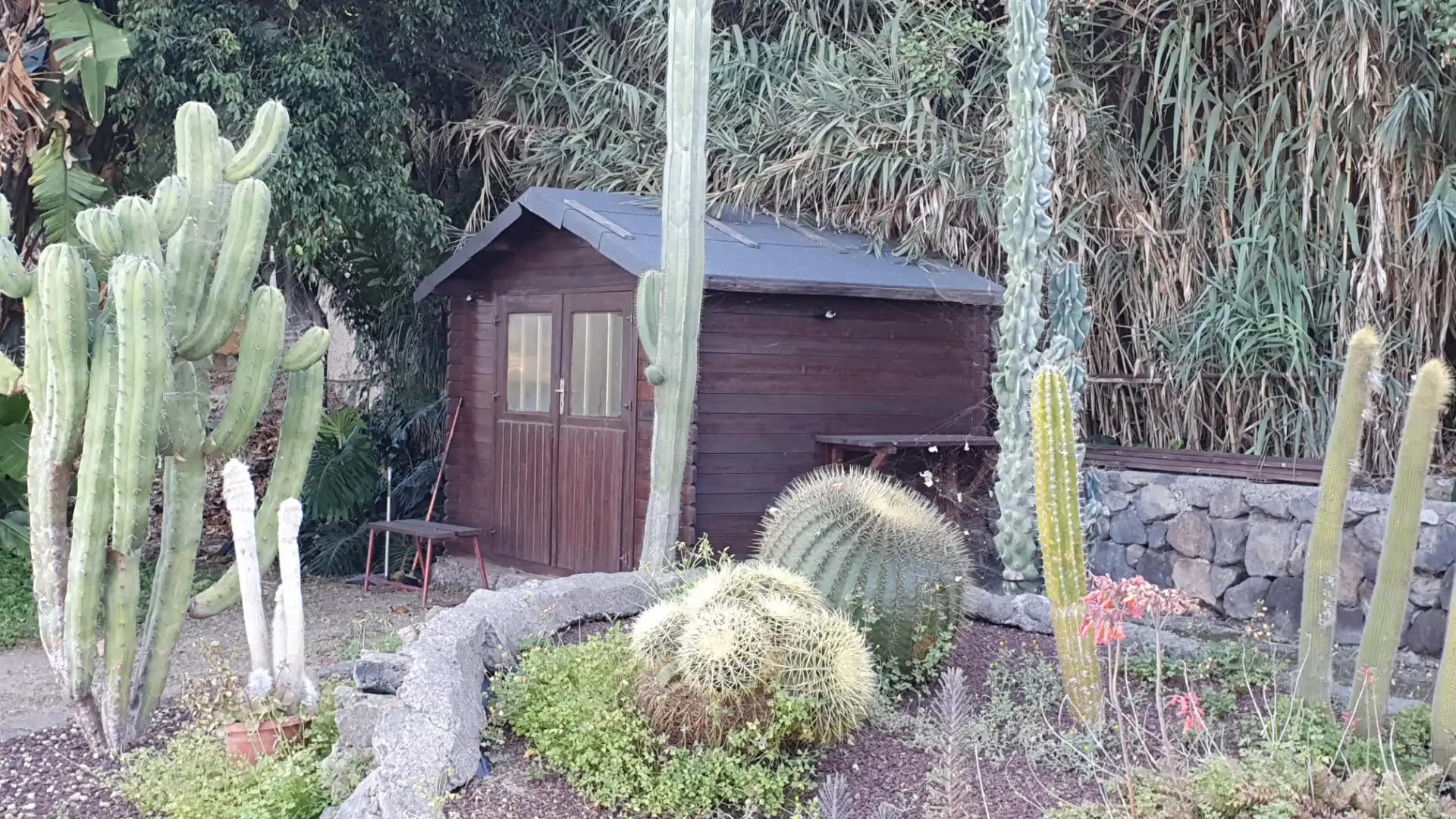 Jardí de Casa o xalet en venda en San Juan de la Rambla amb Jardí privat i Terrassa