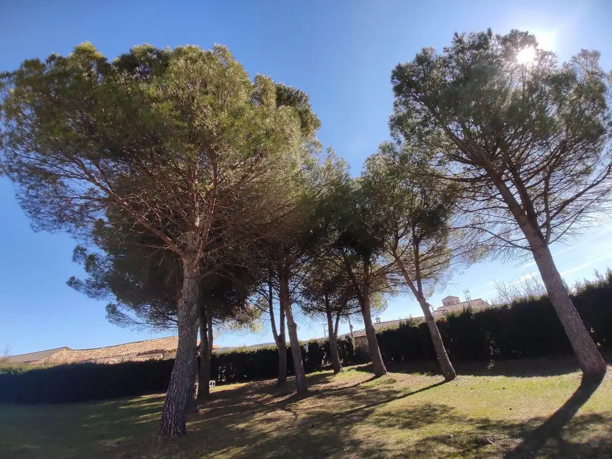 Jardín de Apartamento en venta en Bárcabo con Calefacción, Trastero y Piscina comunitaria