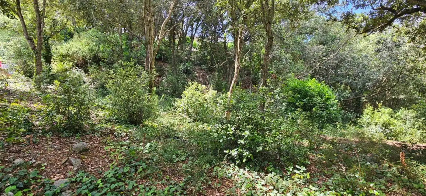 Terreny residencial en venda a Sa Riera - Sa Fontansa, imagen 6