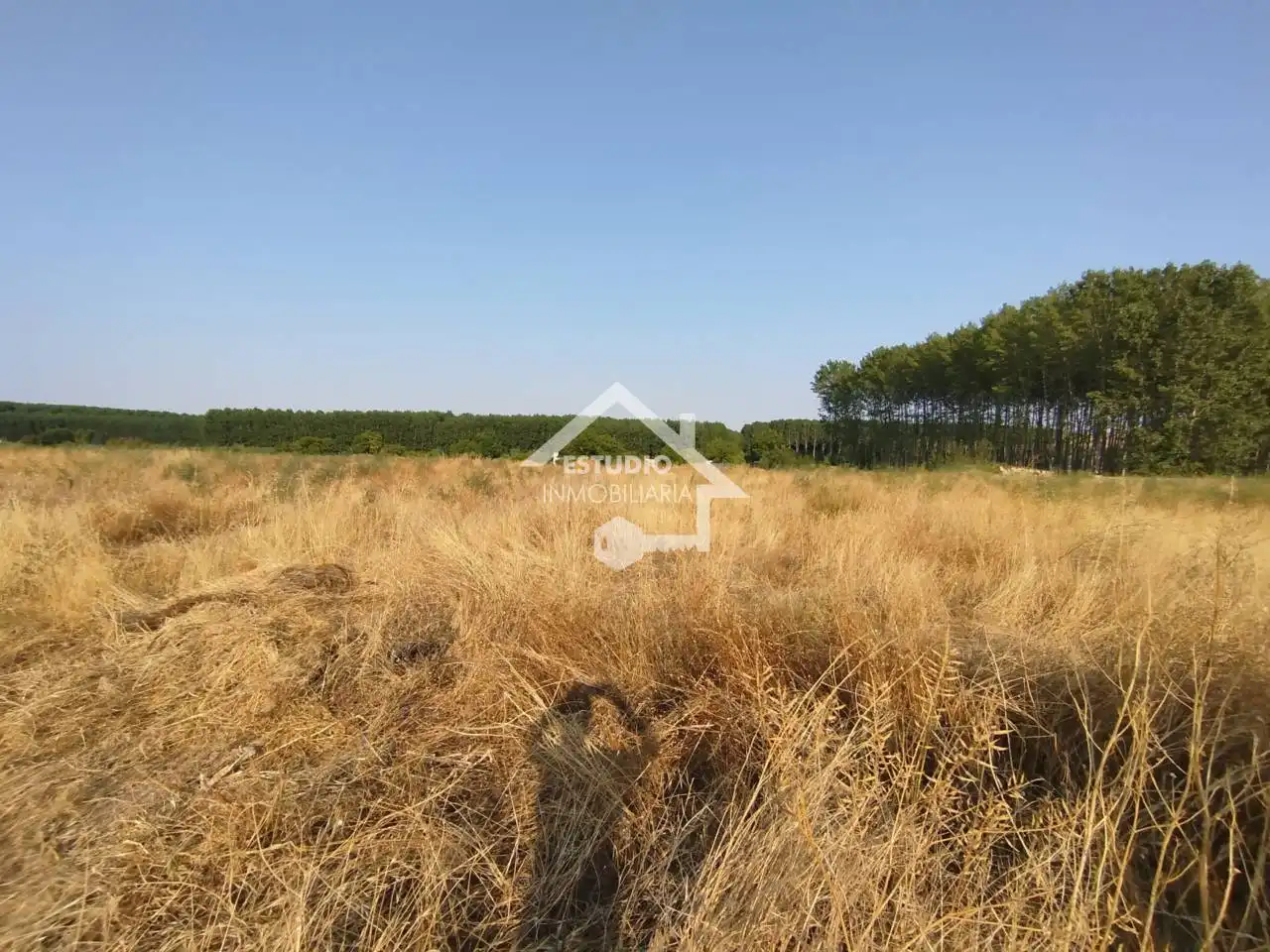Rural land for sale in Viana, imagen 15