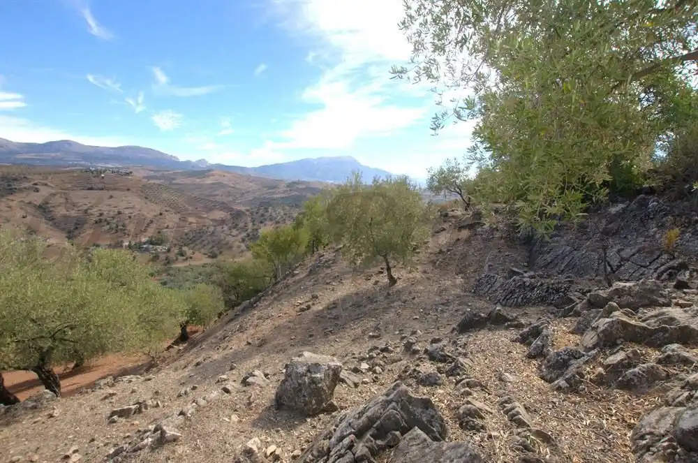 Vista exterior de Terreno en venta en Cútar, Málaga