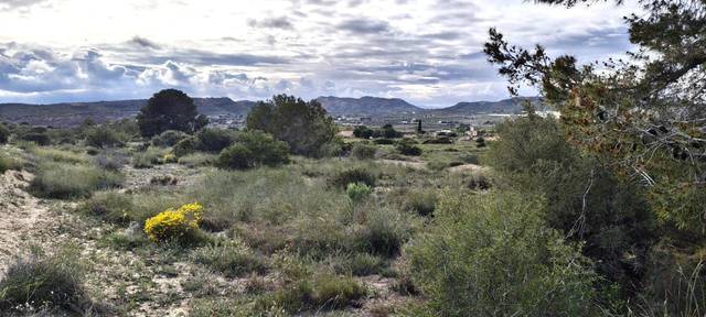 Terreno en Venta en Jubalcoi