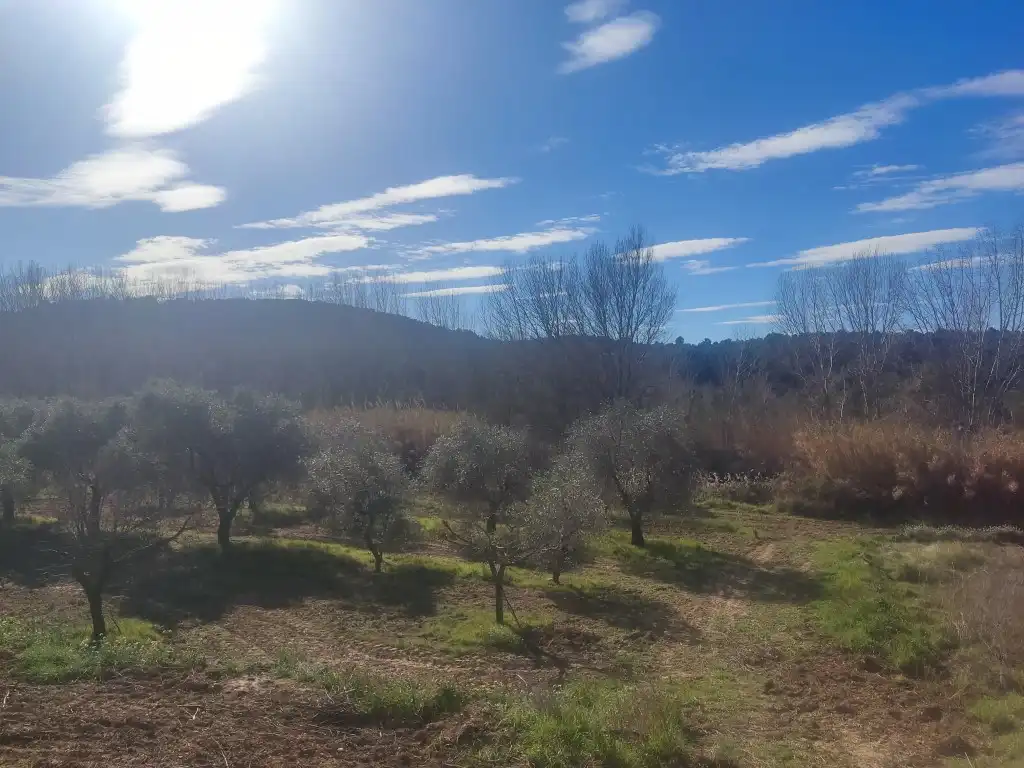Terreni e lotti in vendita a Mazaleón, imagen 6
