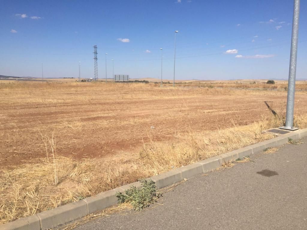 Land for sale in Fuente de Cantos