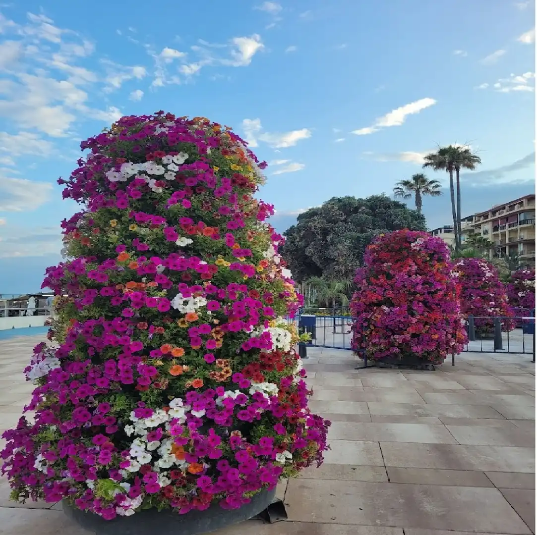 Garden of Ground floor for sale in Estepona  with Air Conditioner, Terrace and Swimming Pool