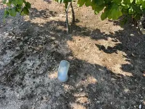 Terreno rustico in vendita a Avinguda de Reus 10, imagen 4