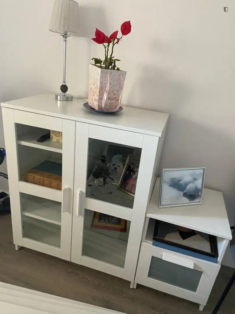 Room in Centro