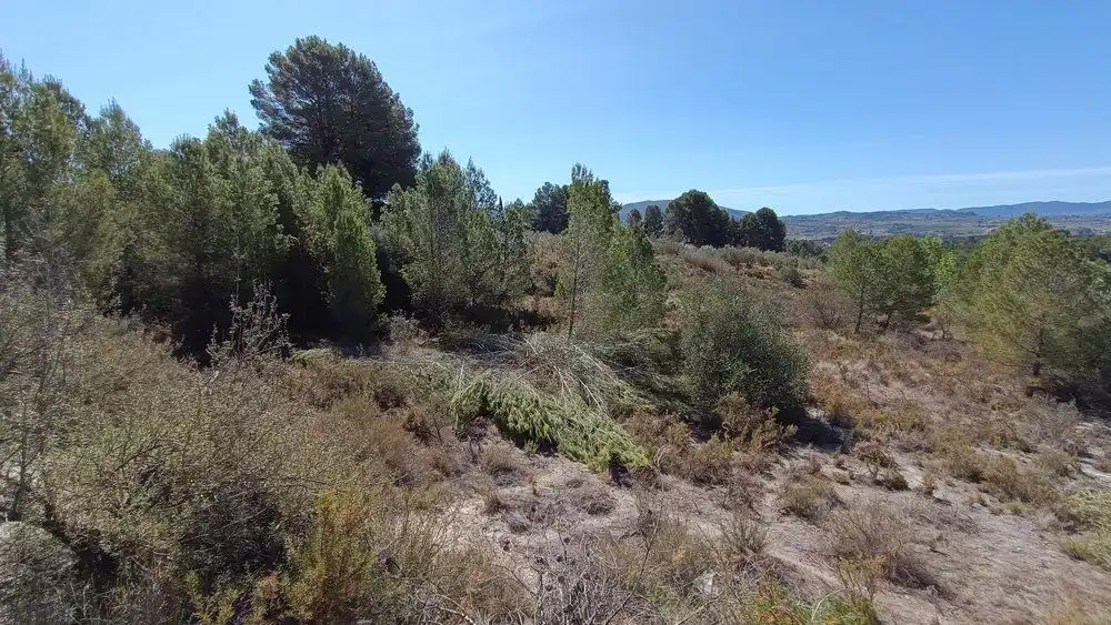 Residencial en venta en Gaianes