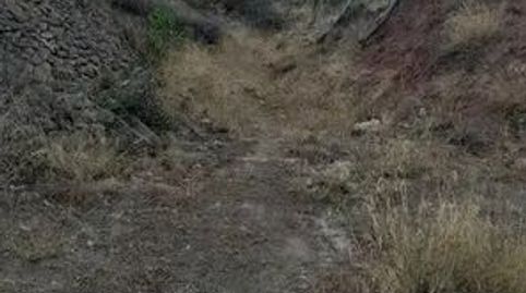 FINCA DE REGADÍO PARA RECREO, immagine 3