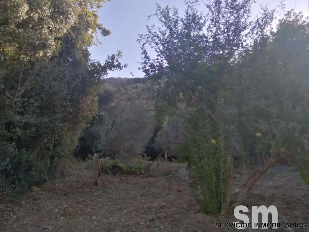 Terreno en venta en Zahara