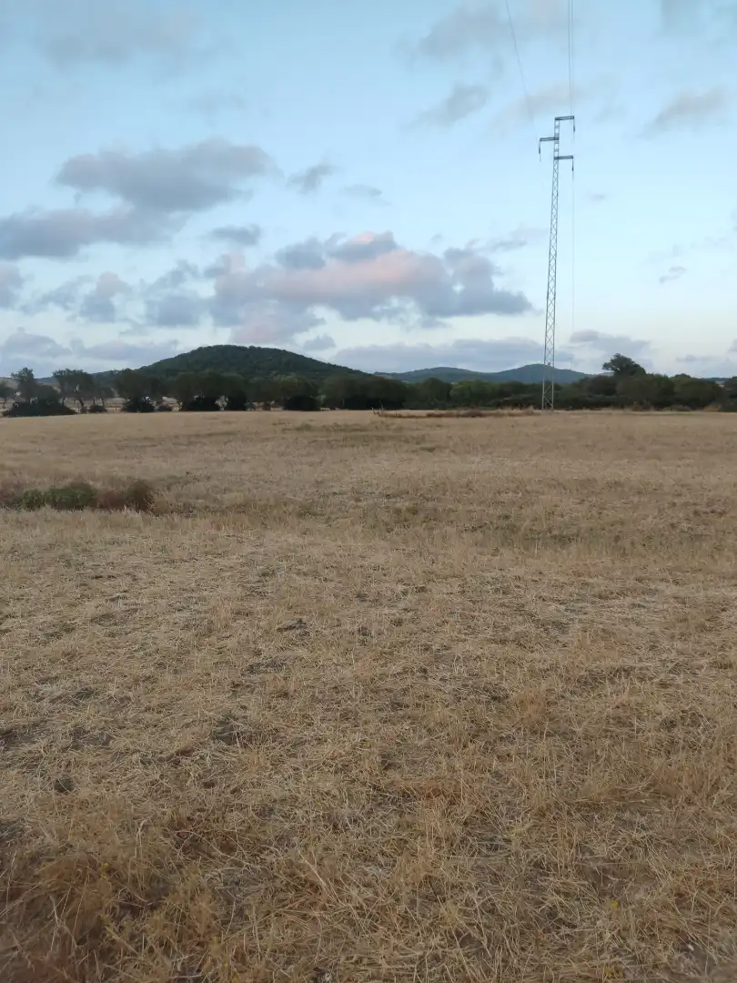 Land for sale in Vejer de la Frontera