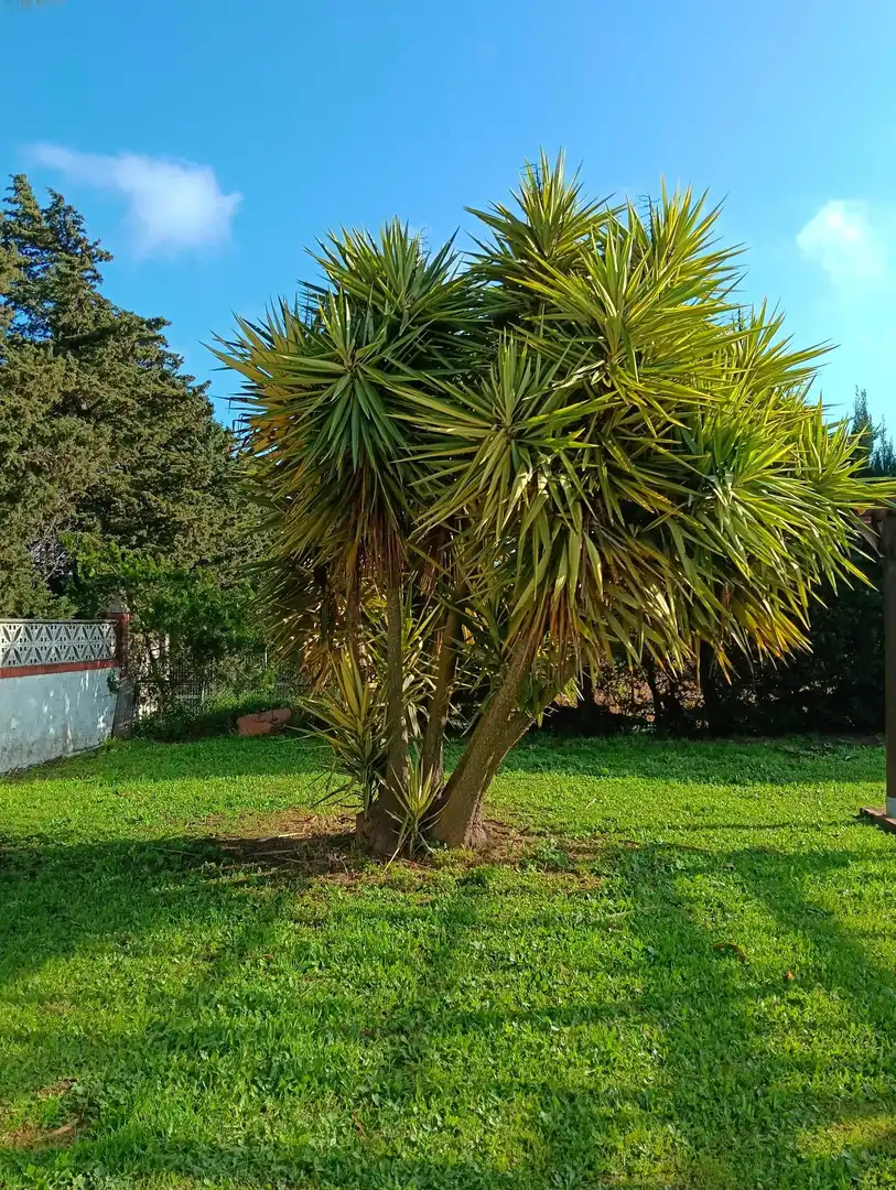 Villa zum Verkauf in Pelagatos - Pago del Humo, imagen 31