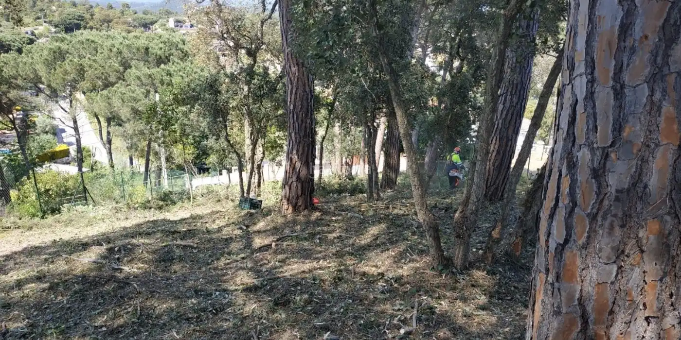 Wohnbaugrundstück zum Verkauf in Carrer Finestrelles 46, imagen 4